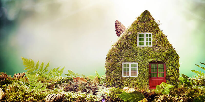 sustainable living