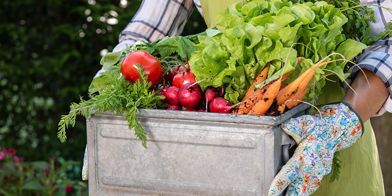 vegetables