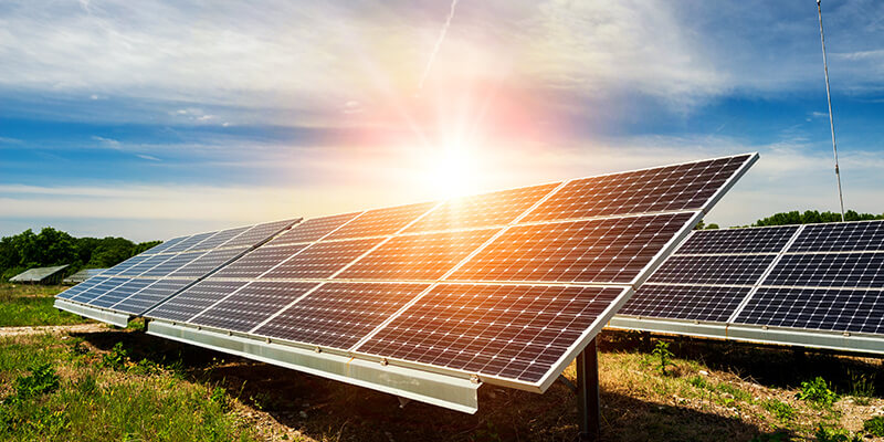 Solar Panels In Field
